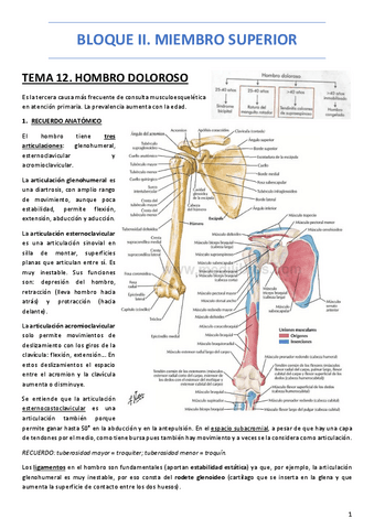 BLOQUE-II.-MIEMBRO-SUPERIOR.pdf