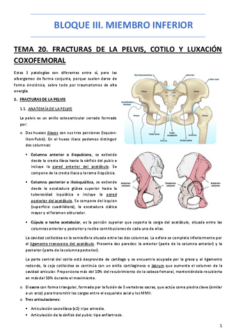 BLOQUE-III.-MIEMBRO-INFERIOR.pdf