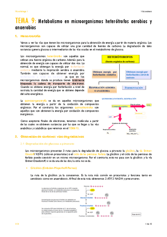 TEMA-9.pdf