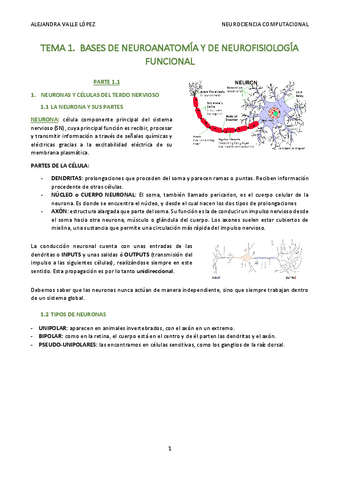 1.-Bases-de-neuroanatomia-y-de-neurofisiologia-funcional-AVL.pdf