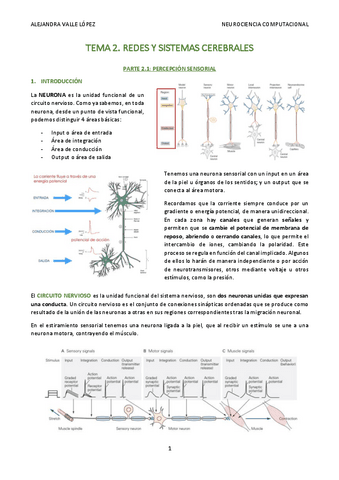 2.-Redes-y-sistemas-cerebrales-AVL.pdf