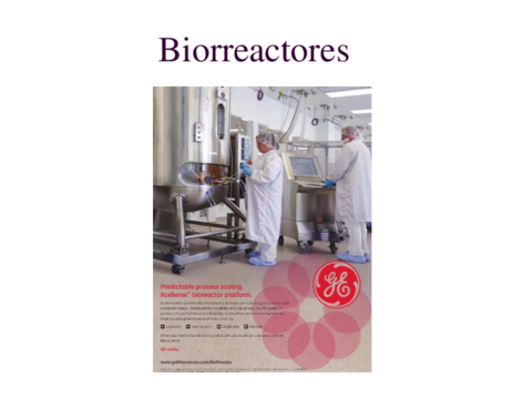 1. Biorreactores_imprimible.pdf