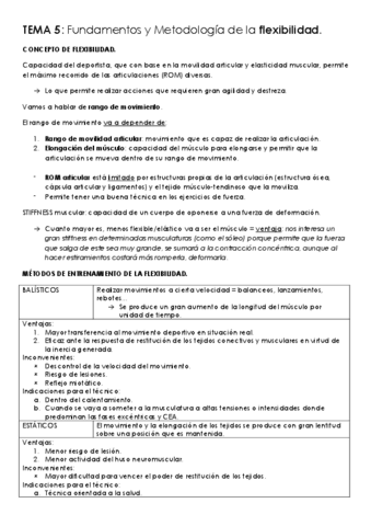 TEMA-5-flexibilidad.pdf
