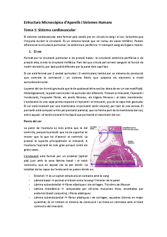 EMASH-1r-semestre.pdf