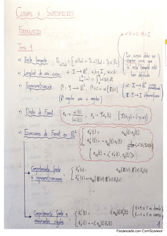 Formulario CyS.pdf