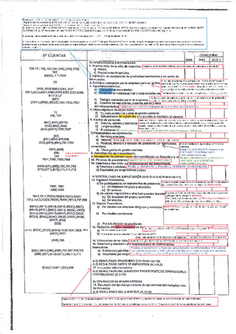 PLANTILLA-CTA-PyG-PARA-PREPARAR-EL-CONTROL-actualizada.pdf