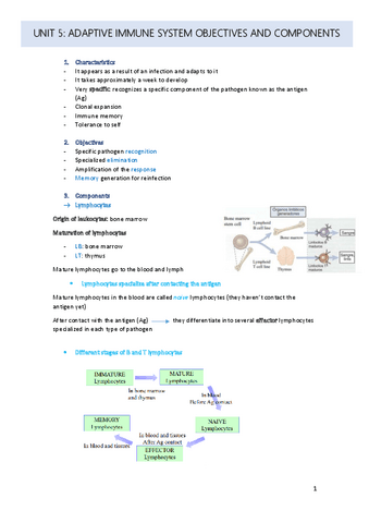 unit-5.pdf