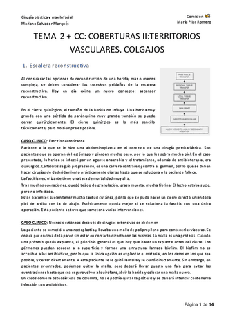 Tema-2.pdf
