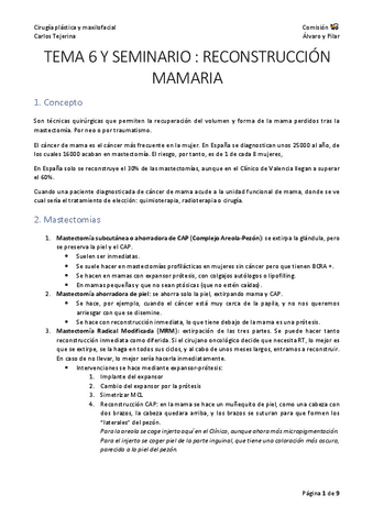 Tema-6--Seminario.pdf