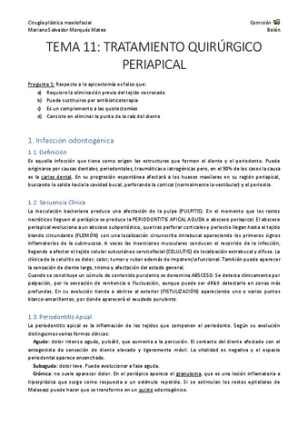 Tema-11.pdf