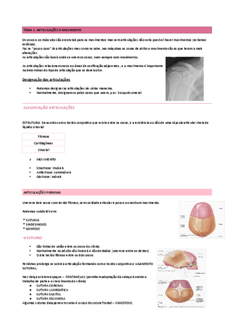 anatomia.pdf