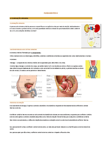 Eliminacion-urinaria-intestinal-seguridad-del-paciente-evaluacion-y-prevencion-caidas-el-arte-de-cuidar-UPP-etc..pdf