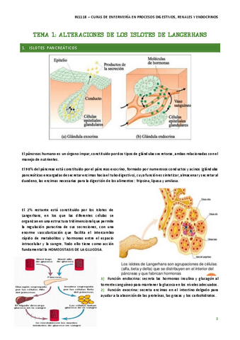 APUNTES-ENDOCRINO-COMPLETOS.pdf