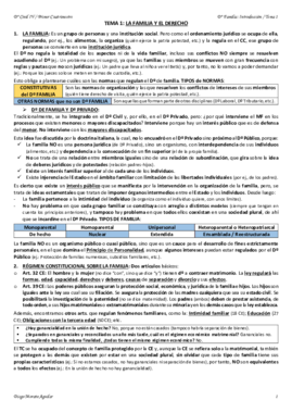 TEMA 1 CIVIL IV.pdf