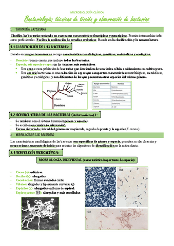 UT-2-Bacteriologia-tincion-y-observacion.pdf