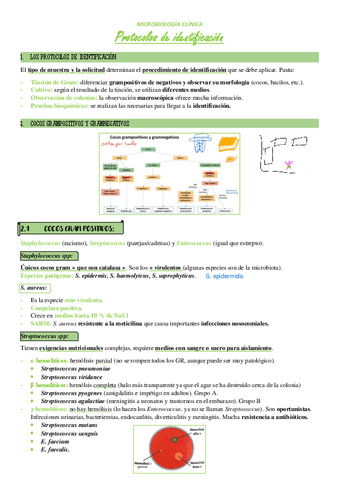 Tema-5-Protocolos-de-identificacion.pdf