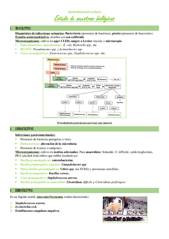 Tema-6-Estudio-de-muestras-biologicas.pdf
