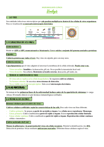 Tema-9-Virus.pdf