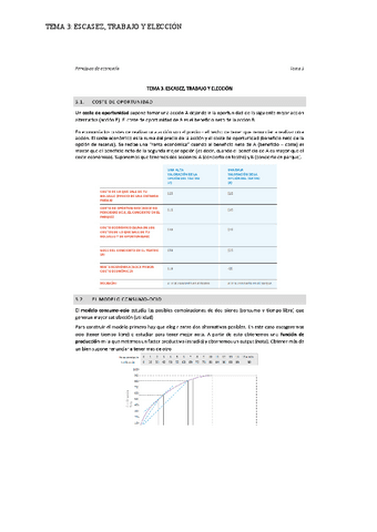 TEMA-3-ESCASEZ-TRABAJO-Y-ELECCION-5.pdf