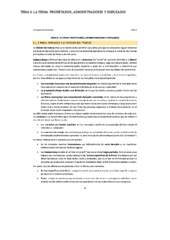 TEMA-6-LA-FIRMA-PROPIETARIOS-ADMINISTRADORES-Y-EMPLEADOS.pdf