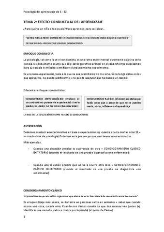 tema-2-de-psicologia-del-aprendiazje.pdf