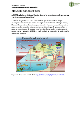 T1-Ciclo-biogeoquimicos.pdf