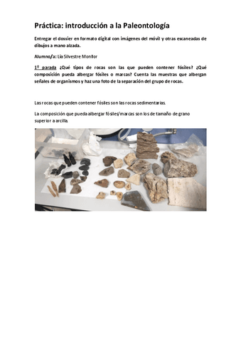 Practica-fosiles.pdf