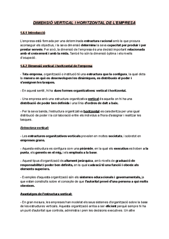 TEMA-6-DIMENSIO-VERTICAL-I-HORITZONTAL-DE-LEMPRESA.pdf