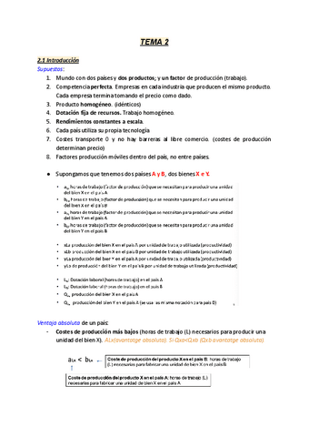 TEMA-2.pdf