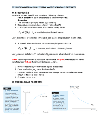 T.3-Comercio-internacional.pdf