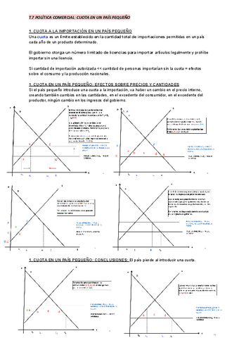 T.7-POLITICA-COMERCIAL.pdf