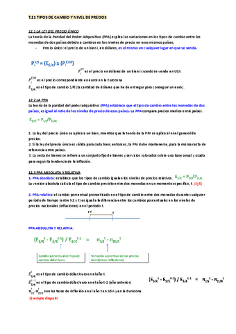 TEMA-11-TIPOS-DE-CAMBIO-Y-NIVEL-DE-PRECIOS.pdf