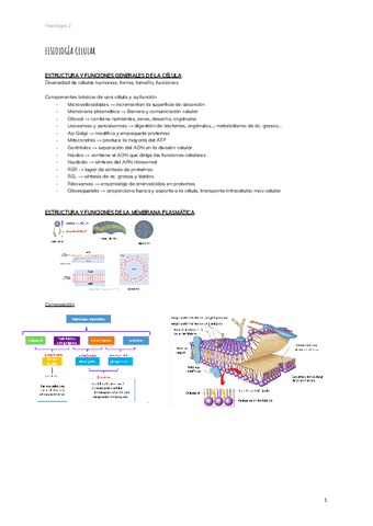 2.-FISIOLOGIA-CELULAR-5.pdf