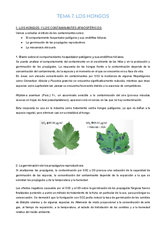 PARTE-BOTANICA.pdf