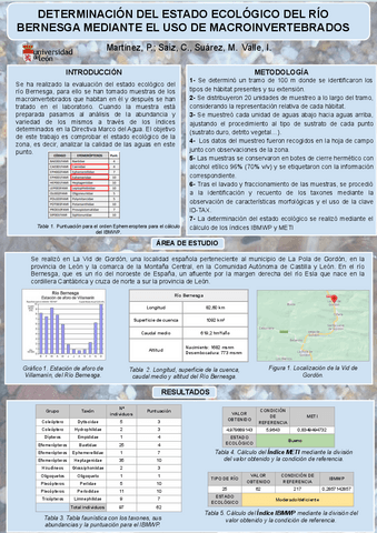 Trabajo-bioindicadores.pdf