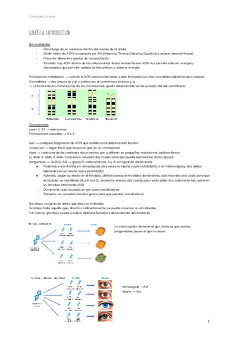 GENETICA.pdf