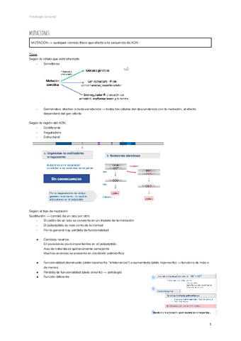 MUTACIONES.pdf