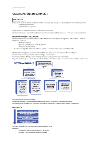 1.-CICATRIZACION-E-INFLAMACION.pdf