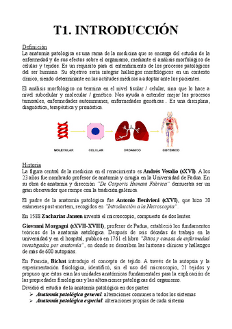 T1.-Introduccion.pdf
