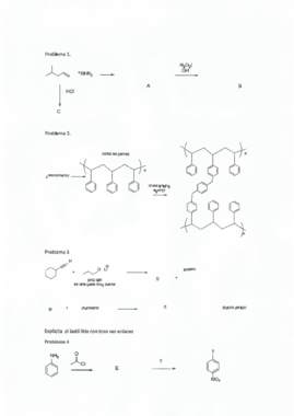 Reactividad -X-BR3 y -NH2.pdf