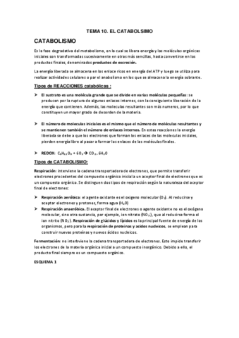 TEMA-12.-EL-CATABOLISMO.pdf