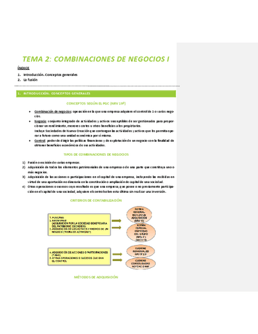 Tema-2.-Combinacion-de-Negocios-I.pdf