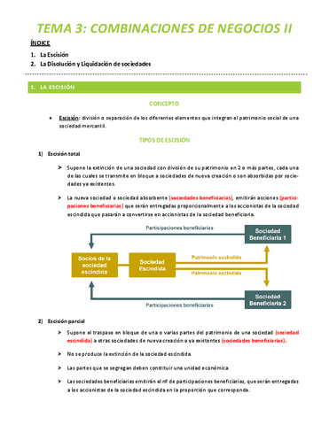 Tema-3.-Combinacion-de-Negocios-II.pdf