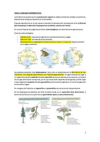 TEMA-9-VEGETAL.pdf