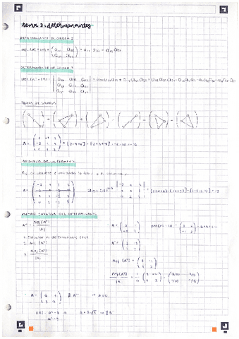 tema-2.-determinantes.pdf