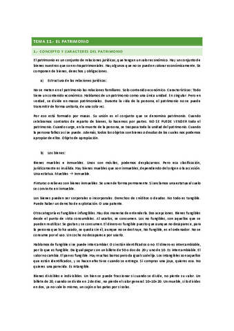 TEMA-12-DERECHO-CIVIL-I.pdf