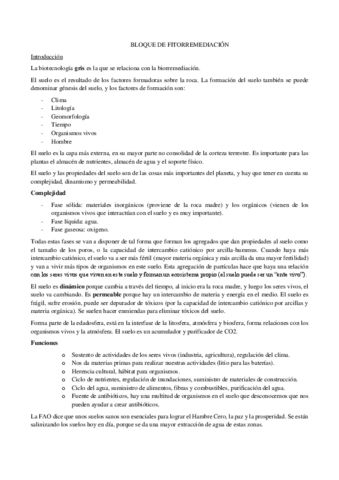 FITORREMEDIACION.pdf