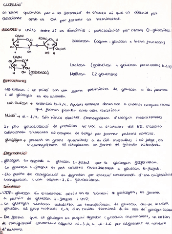 Biomolecules-II.jpg
