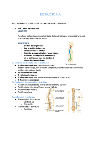 RETROSOMA.pdf