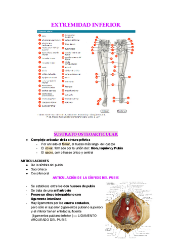 EXTEMIDAD-INFERIOR.pdf